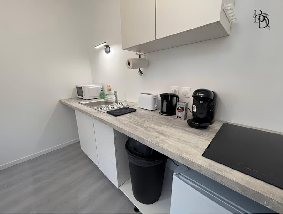 T1 Bis Appartement B3 30M2 Cosy 7Min A Pieds Des Gares Roanne Exterior photo